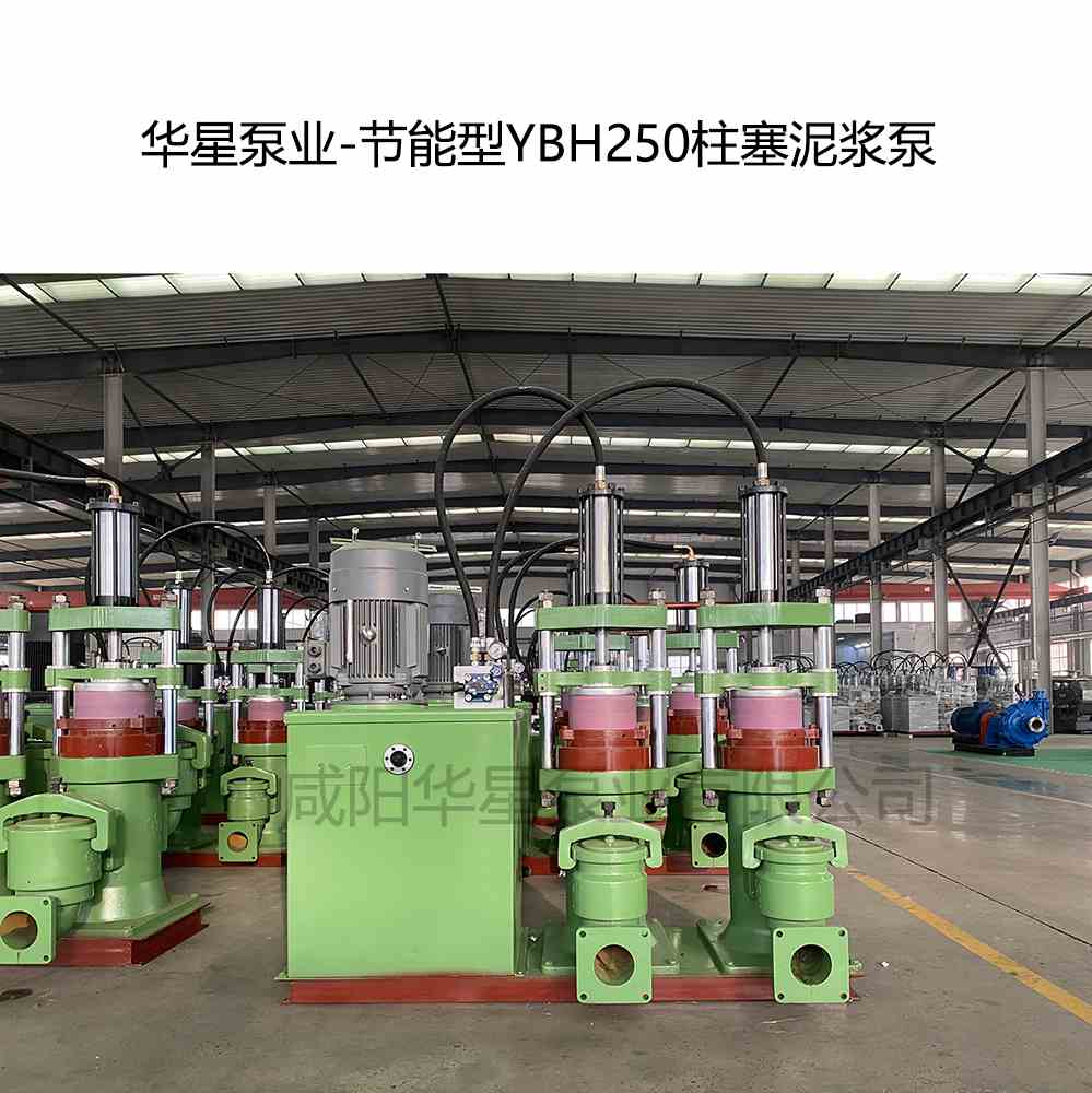 污水处理厂订购一台YBH250压滤机专用泵